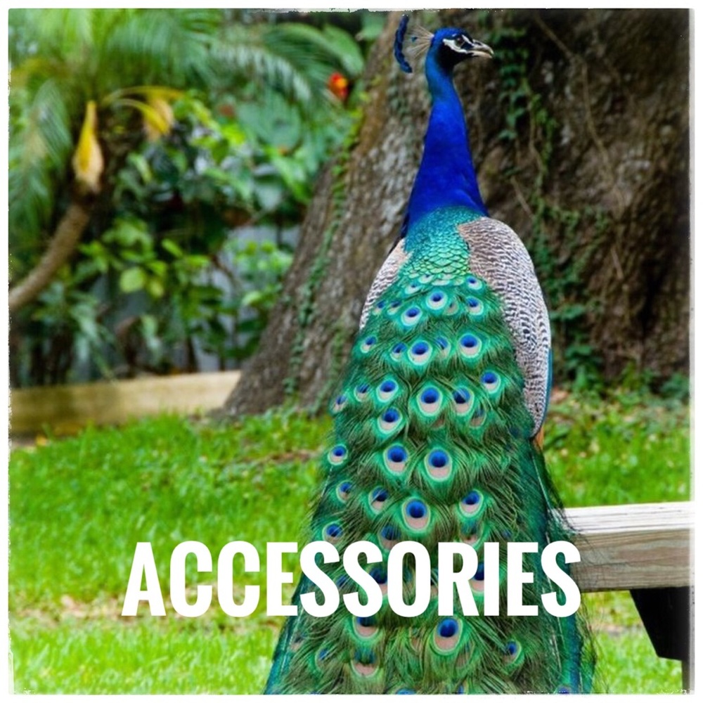 Purses, Belts, Jewelry, Cosmetic Bags etc - Picture 1 of 1